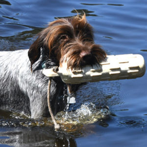 Step 1 - Training clinic fee Non-Chapter member