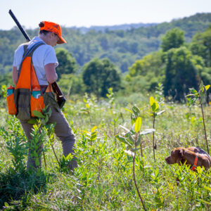 Step 4 – Gun Dog Test Payment